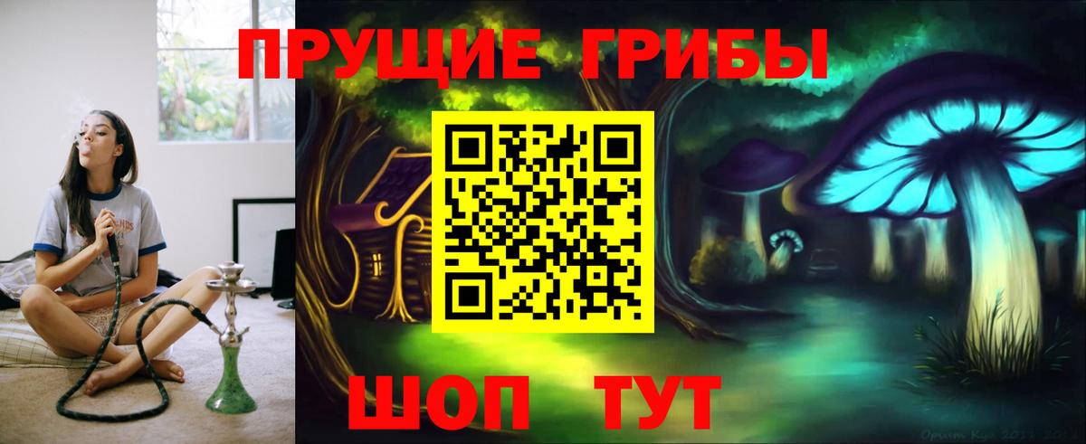 Псилоцибиновые грибы мицелий  Вход с VPN  Медногорск  Псилоцибиновые грибы GOLDEN TEACHER 